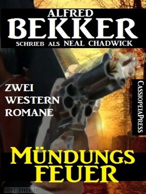cover image of Mündungsfeuer